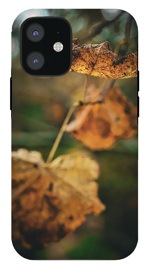 Yellow leaves  - Phone Case