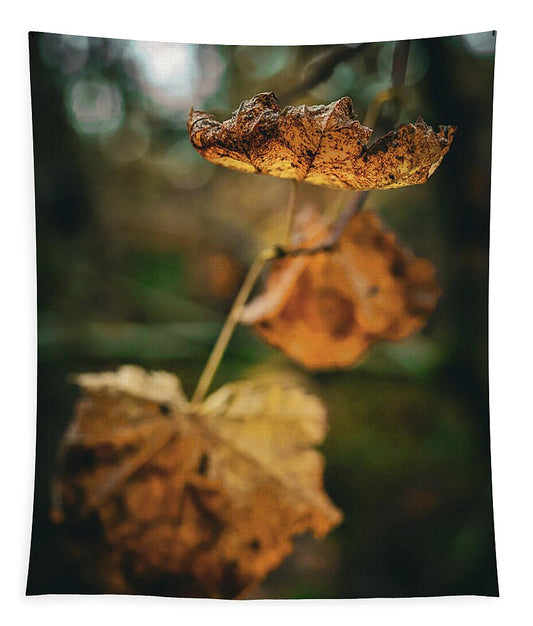 Yellow leaves  - Tapestry