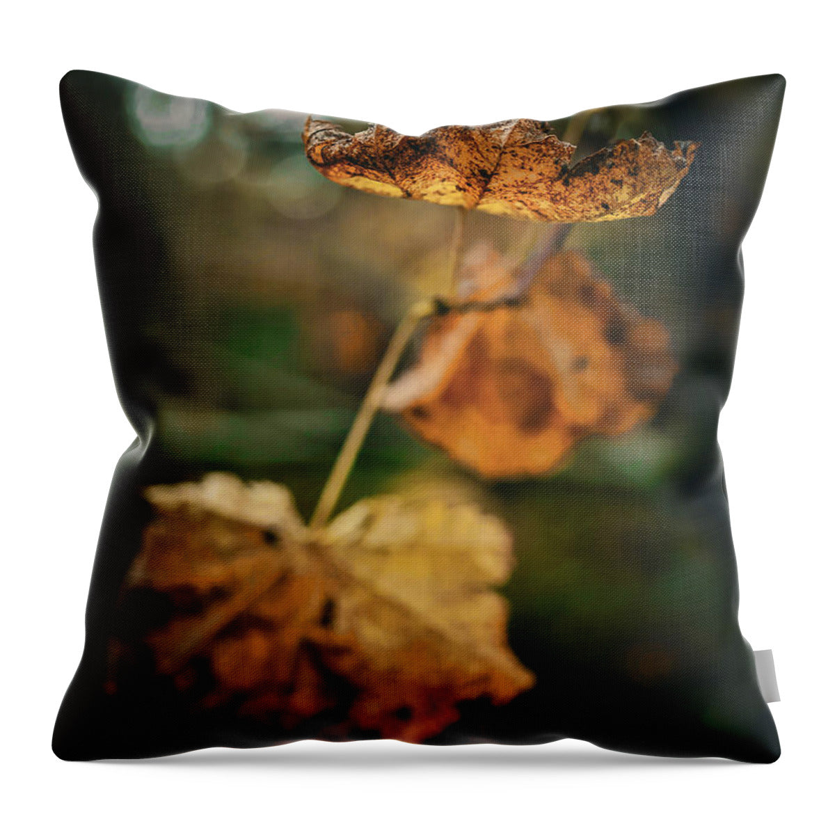 Yellow leaves  - Throw Pillow