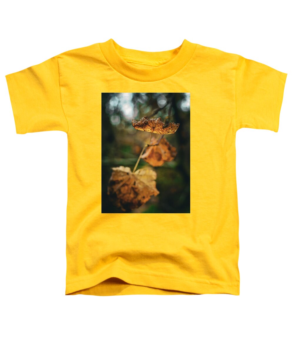 Yellow leaves  - Toddler T-Shirt