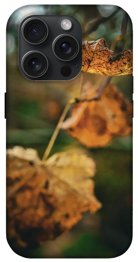Yellow leaves  - Phone Case