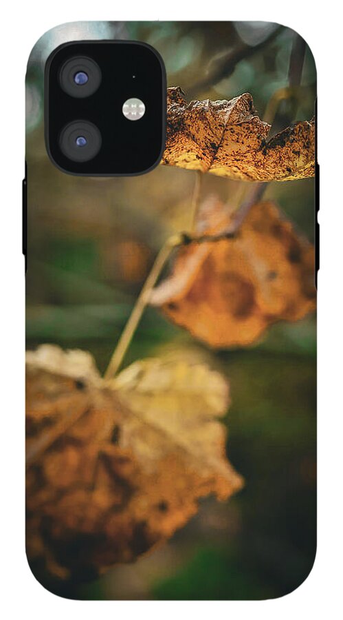 Yellow leaves  - Phone Case