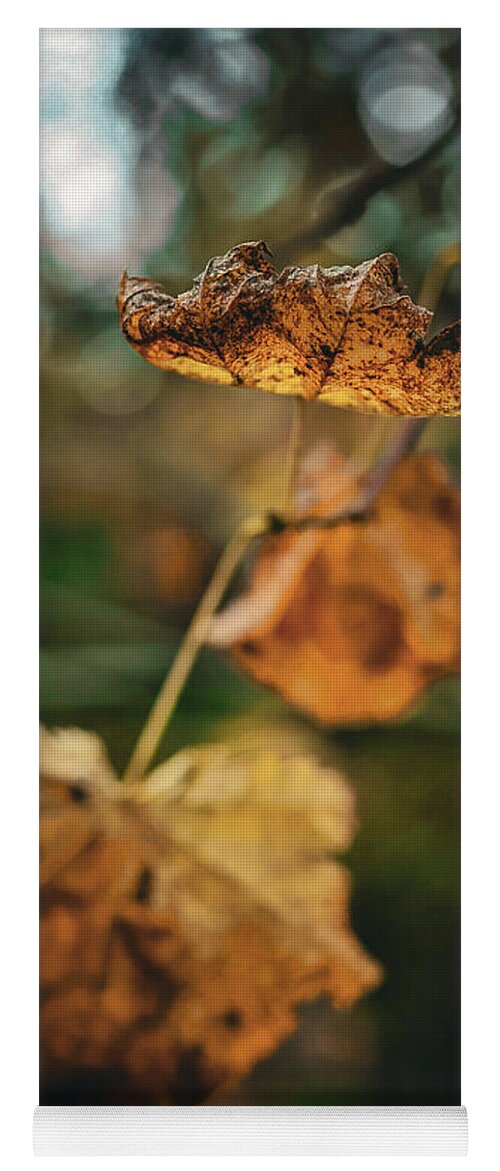 Yellow leaves  - Yoga Mat