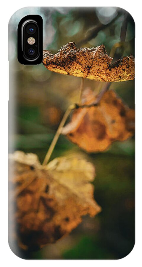 Yellow leaves  - Phone Case
