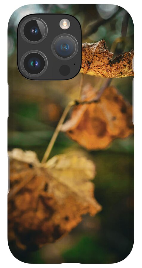 Yellow leaves  - Phone Case
