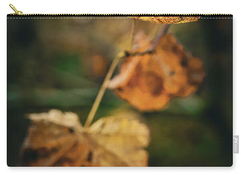 Yellow leaves  - Zip Pouch