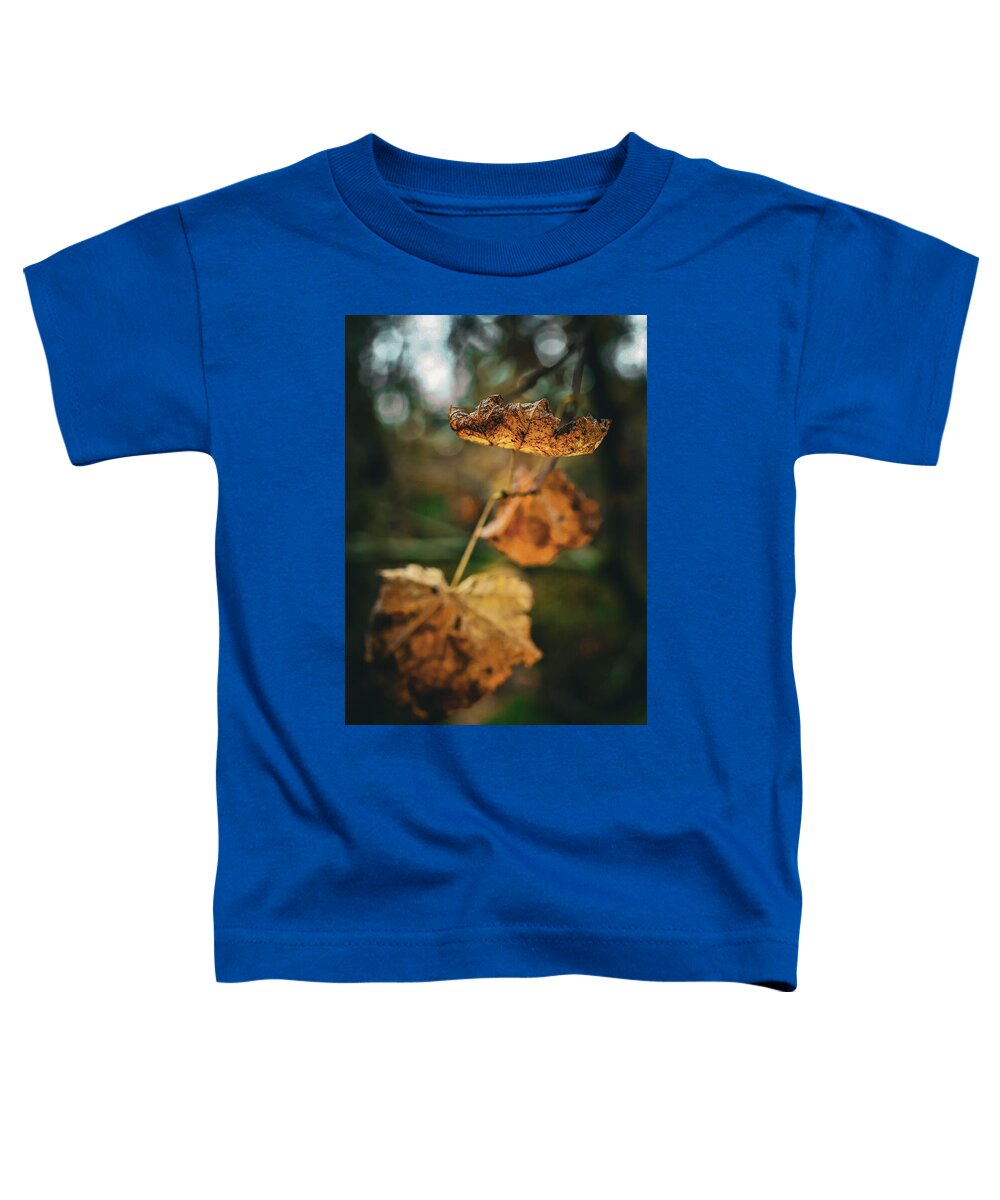 Yellow leaves  - Toddler T-Shirt