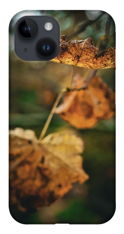 Yellow leaves  - Phone Case