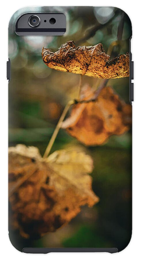 Yellow leaves  - Phone Case