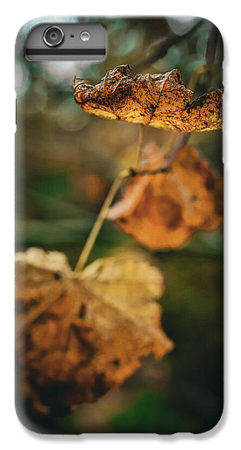 Yellow leaves  - Phone Case