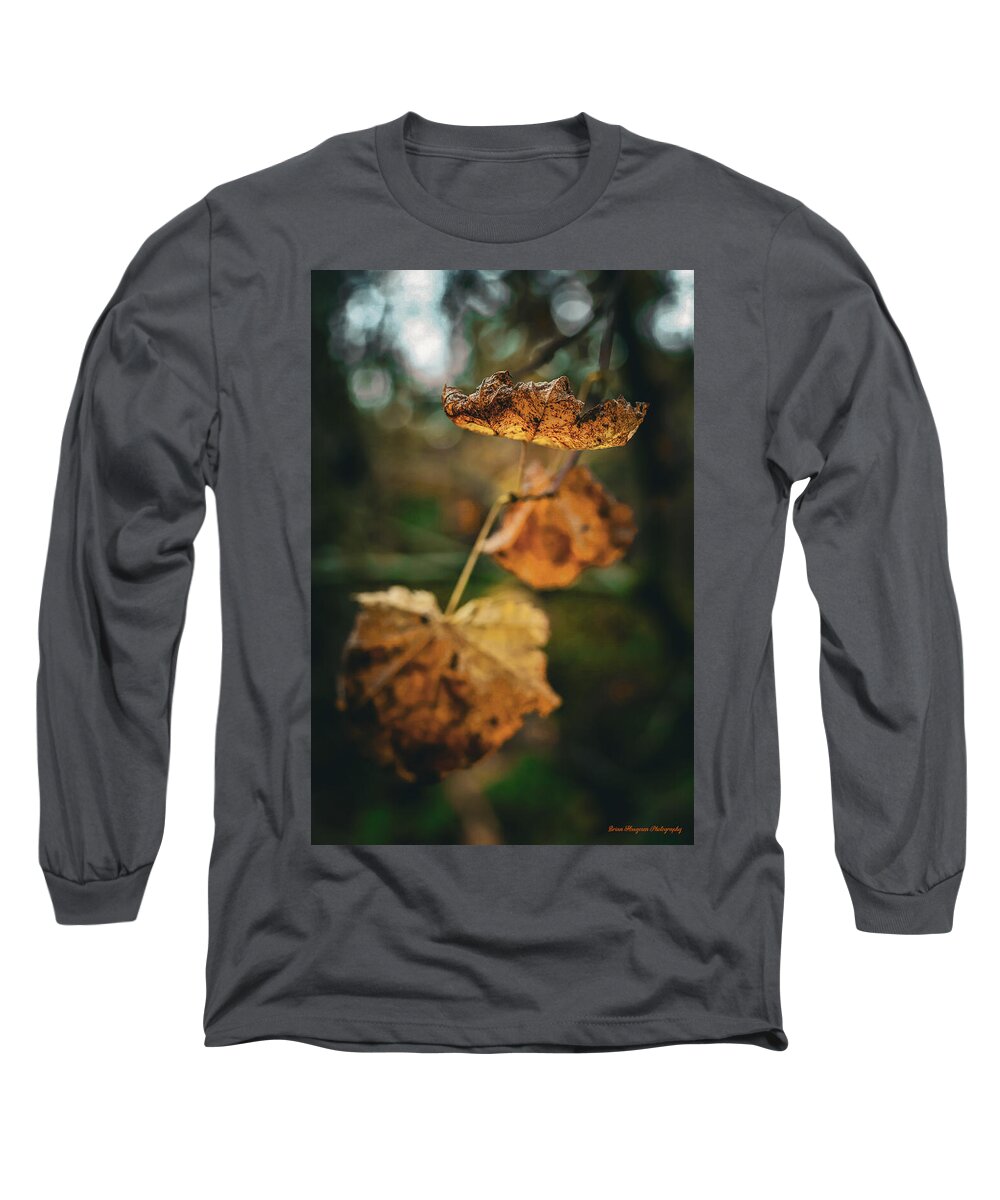 Yellow leaves  - Long Sleeve T-Shirt