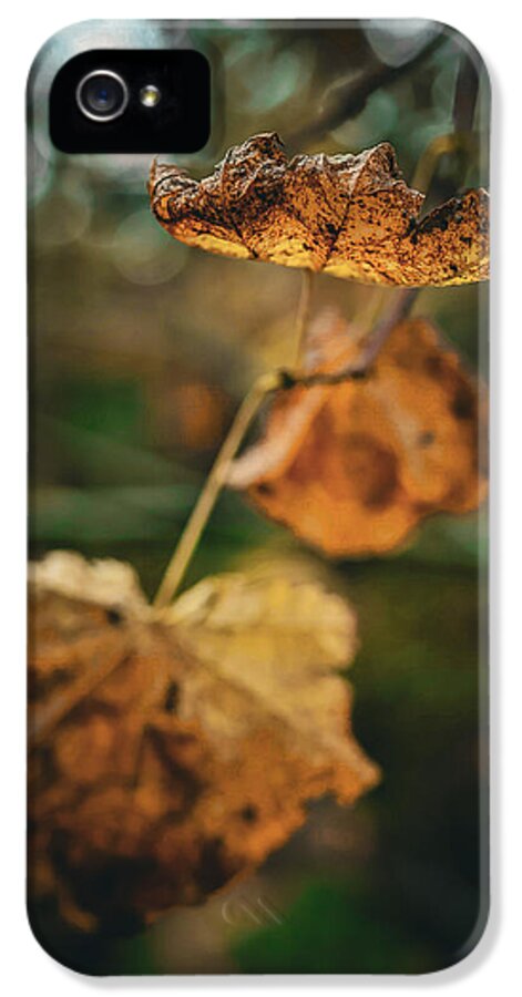 Yellow leaves  - Phone Case