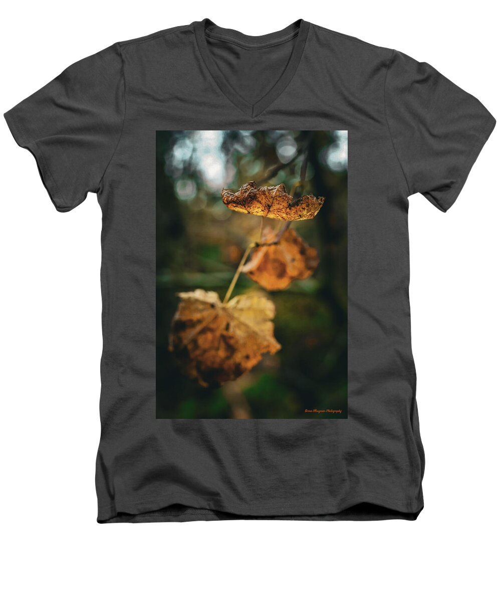 Yellow leaves  - Men's V-Neck T-Shirt