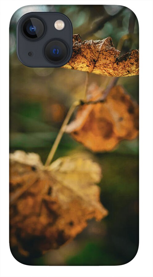 Yellow leaves  - Phone Case
