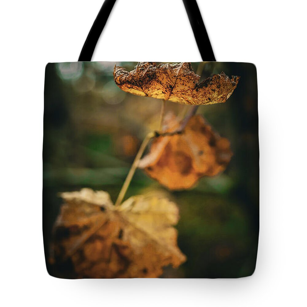 Yellow leaves  - Tote Bag
