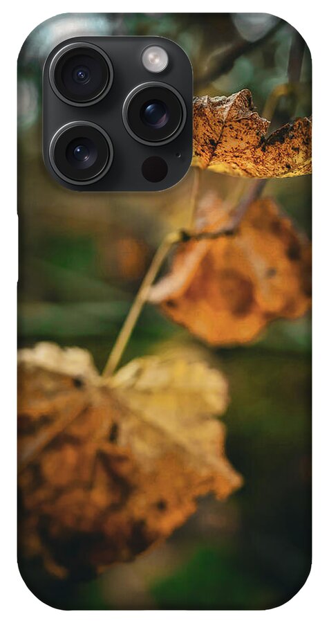 Yellow leaves  - Phone Case