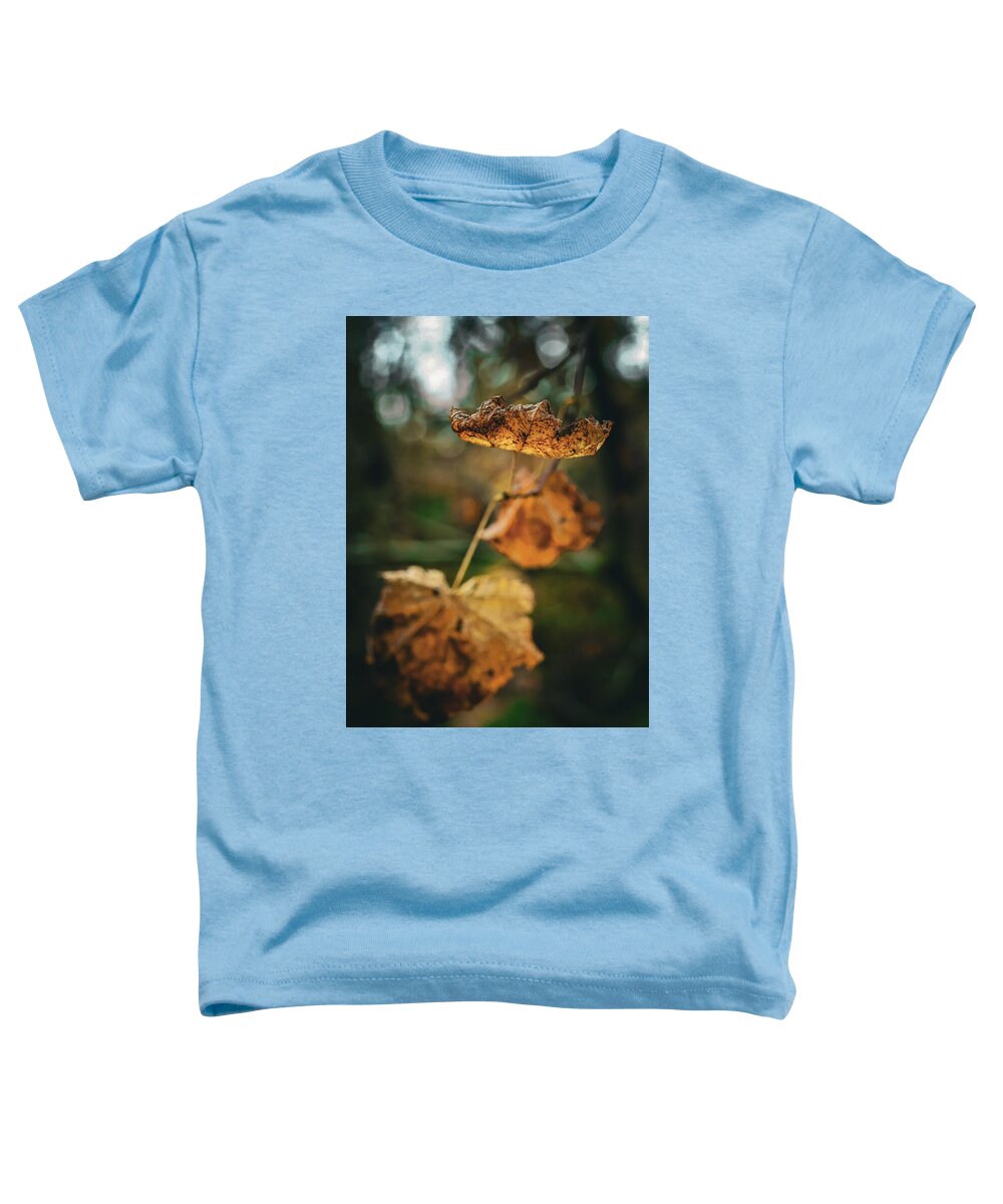 Yellow leaves  - Toddler T-Shirt