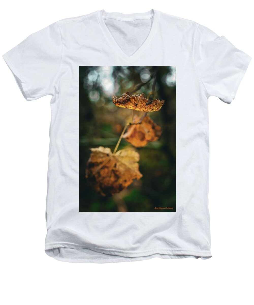Yellow leaves  - Men's V-Neck T-Shirt