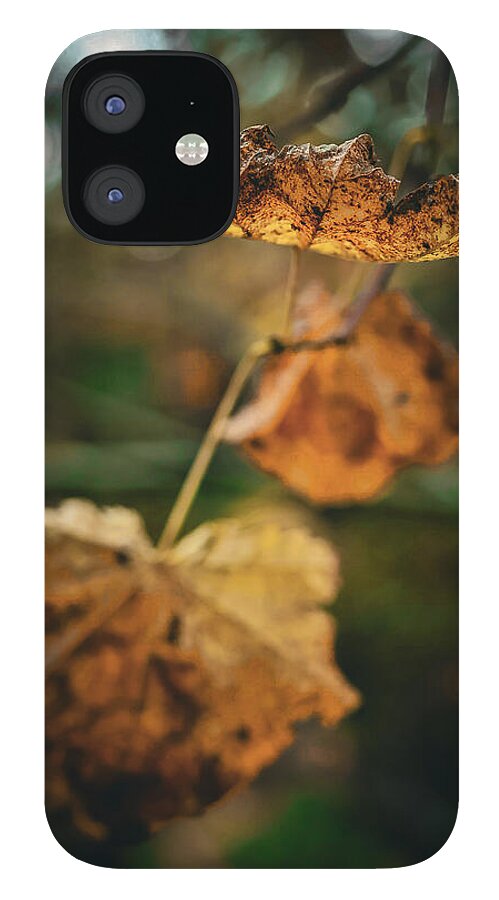 Yellow leaves  - Phone Case
