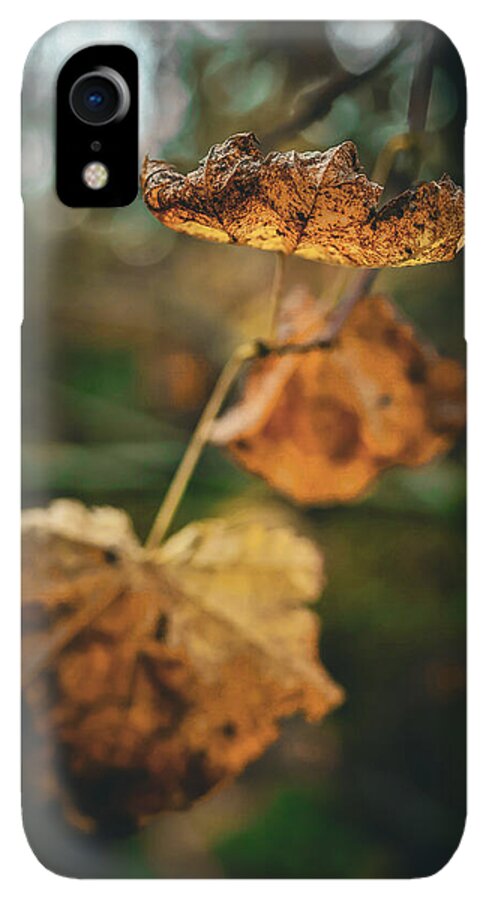 Yellow leaves  - Phone Case