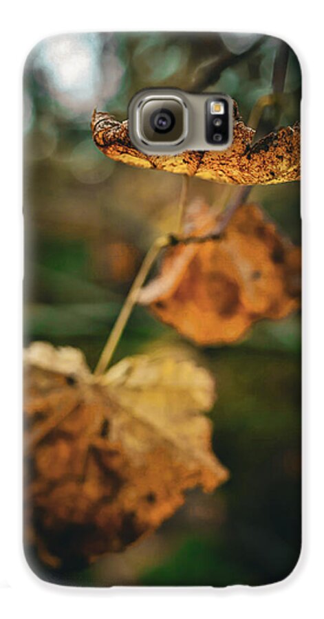 Yellow leaves  - Phone Case