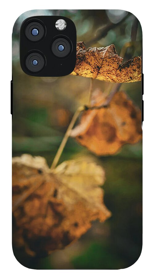 Yellow leaves  - Phone Case