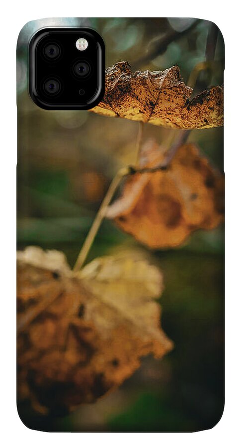 Yellow leaves  - Phone Case
