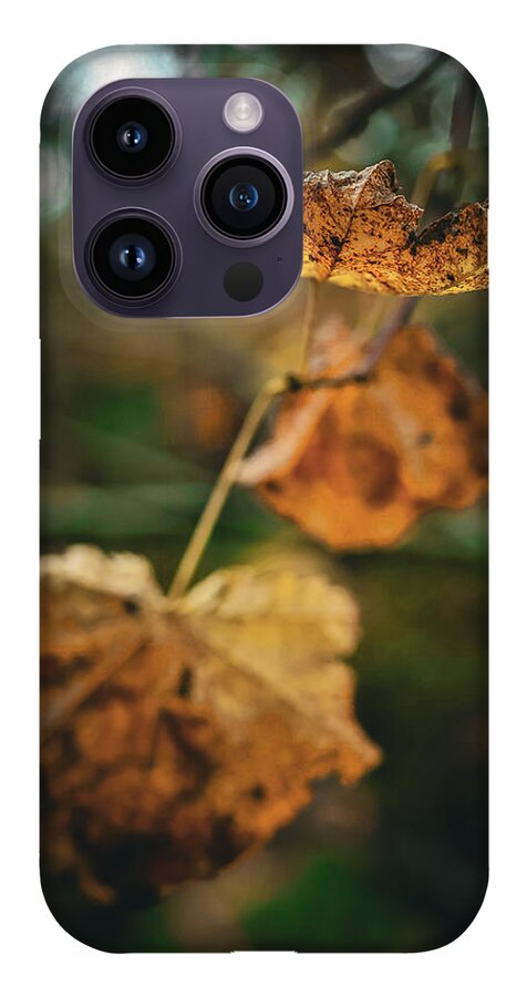 Yellow leaves  - Phone Case