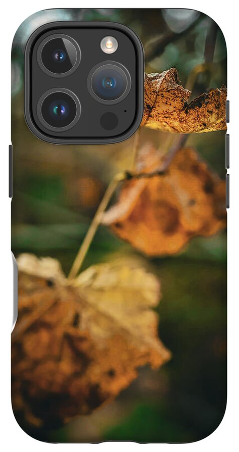 Yellow leaves  - Phone Case