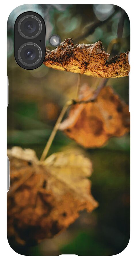 Yellow leaves  - Phone Case