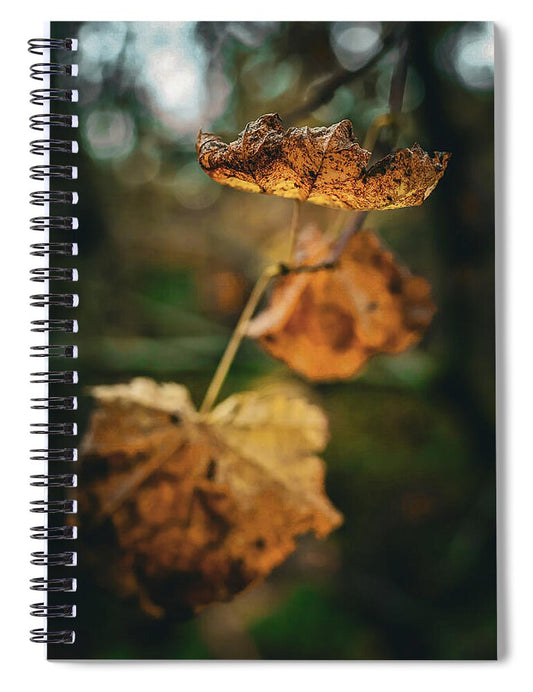 Yellow leaves  - Spiral Notebook