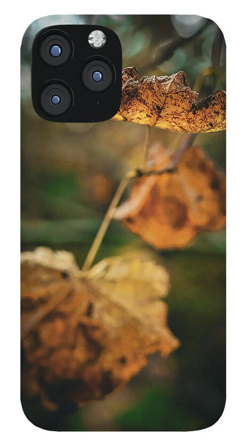 Yellow leaves  - Phone Case