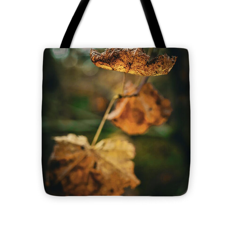 Yellow leaves  - Tote Bag