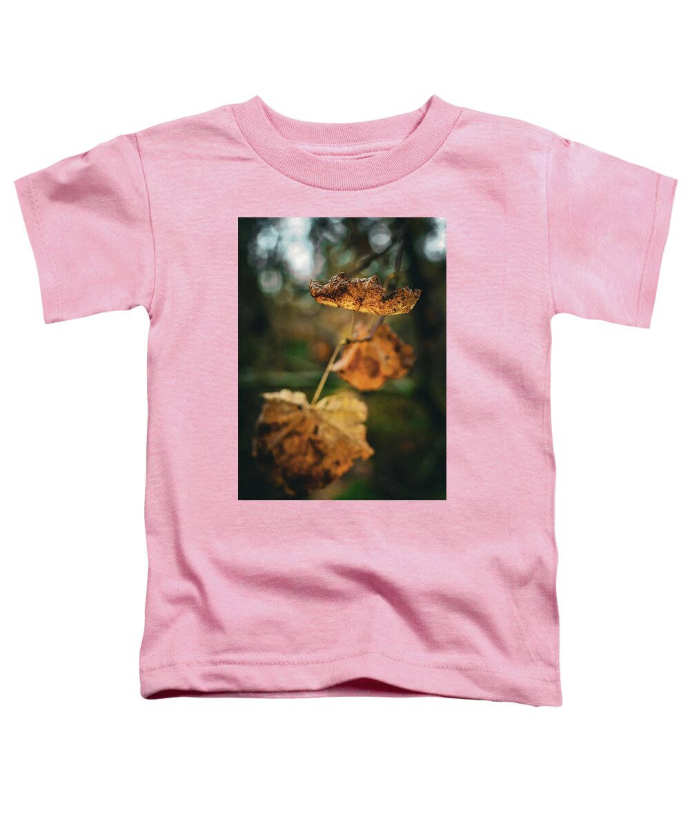 Yellow leaves  - Toddler T-Shirt