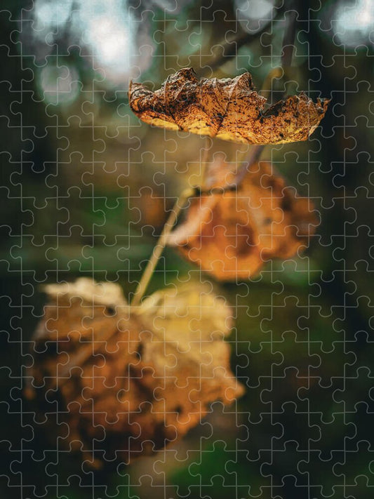 Yellow leaves  - Puzzle