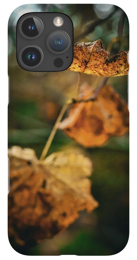 Yellow leaves  - Phone Case