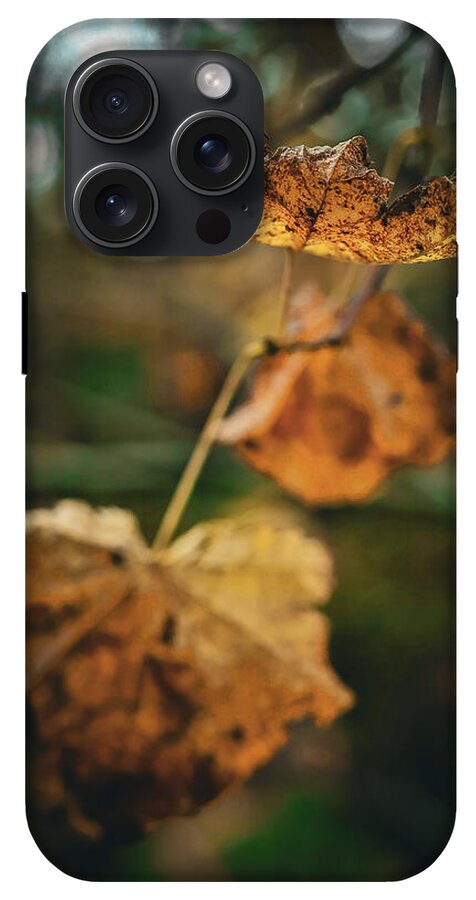 Yellow leaves  - Phone Case