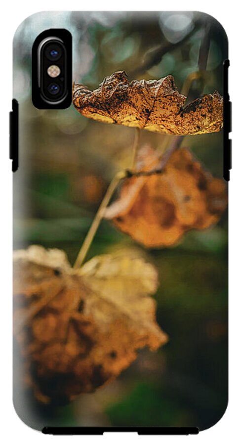 Yellow leaves  - Phone Case
