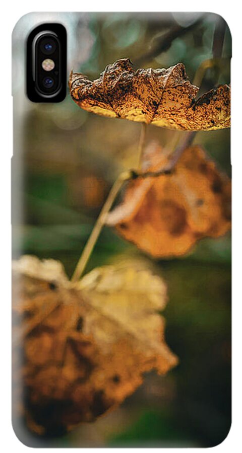 Yellow leaves  - Phone Case