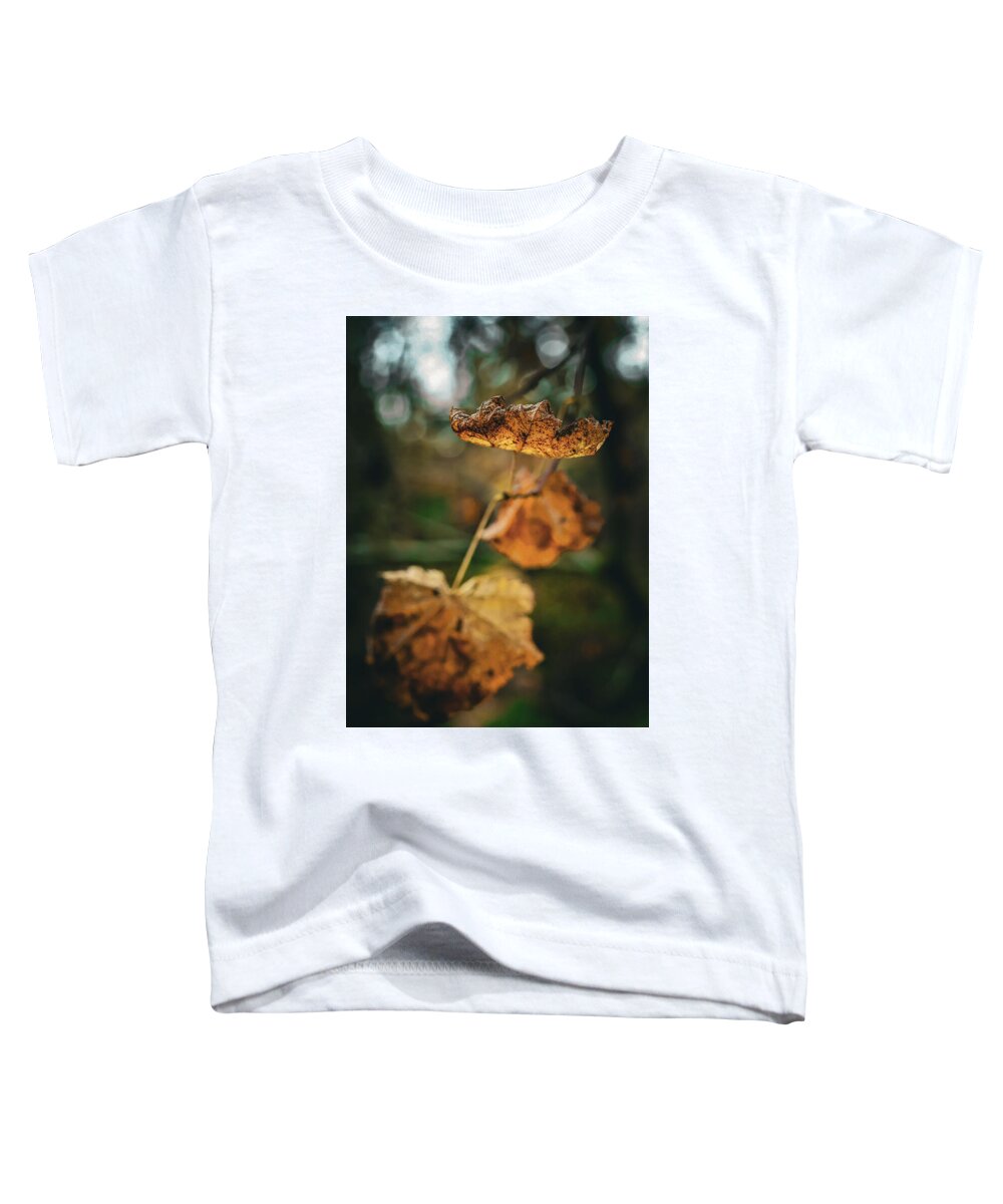 Yellow leaves  - Toddler T-Shirt