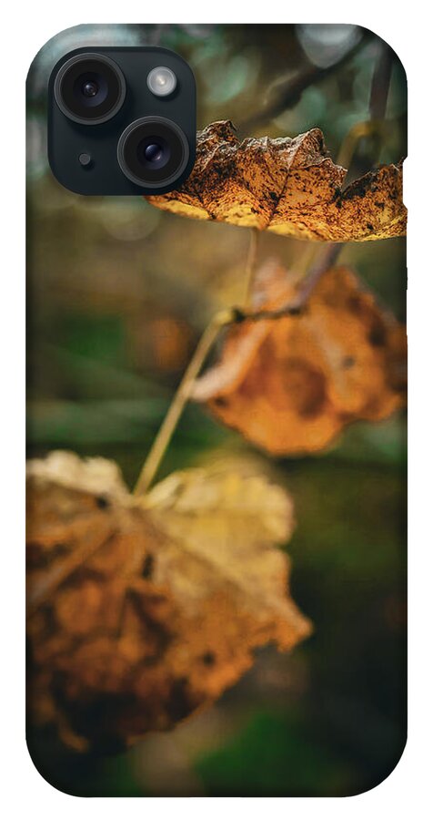 Yellow leaves  - Phone Case