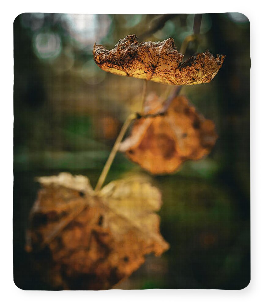 Yellow leaves  - Blanket
