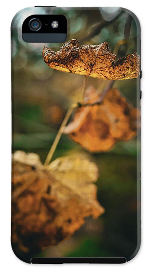 Yellow leaves  - Phone Case