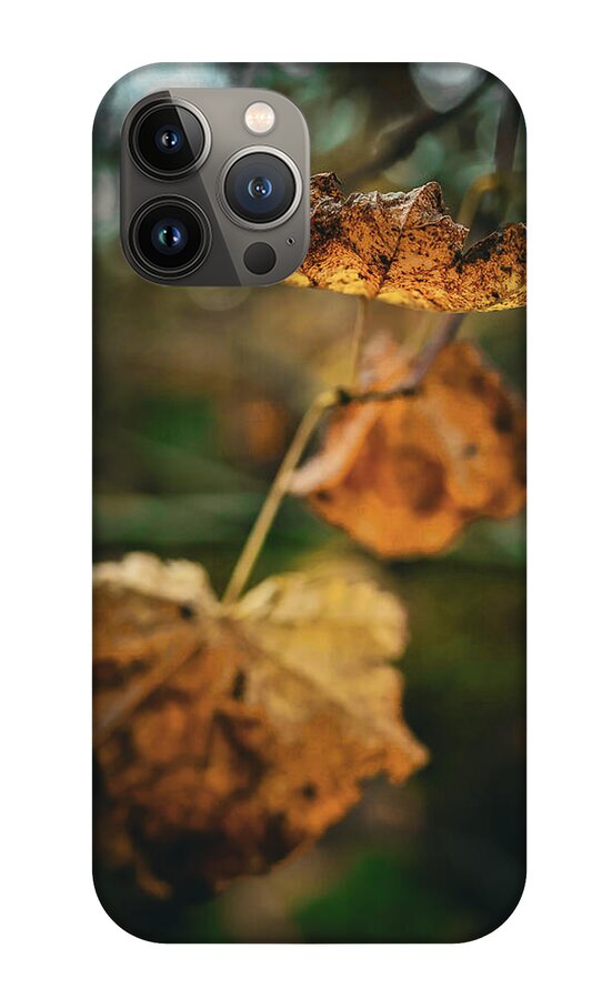 Yellow leaves  - Phone Case