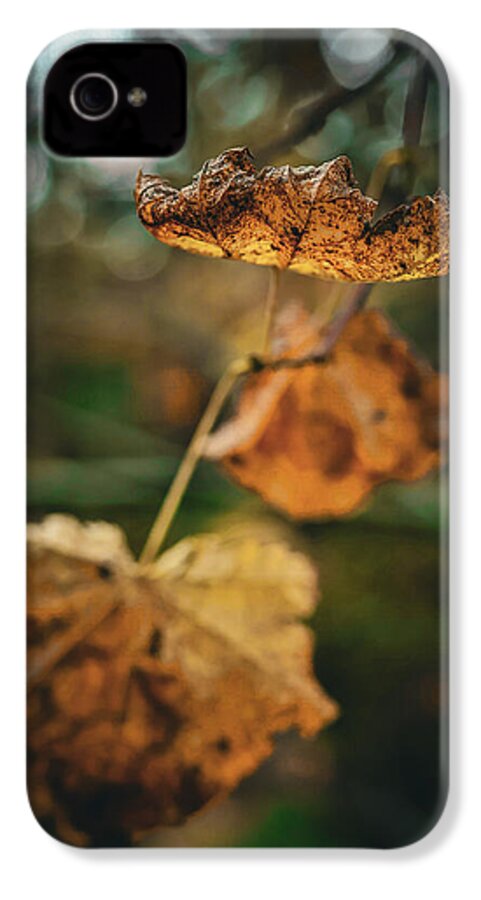 Yellow leaves  - Phone Case