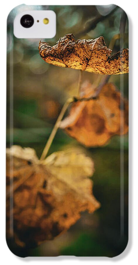 Yellow leaves  - Phone Case