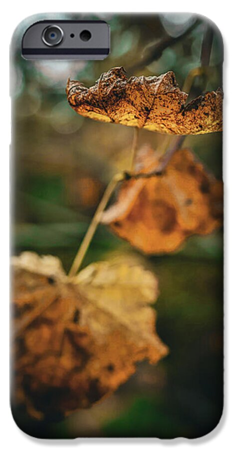 Yellow leaves  - Phone Case