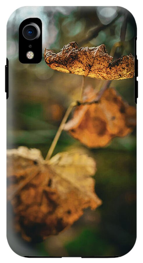 Yellow leaves  - Phone Case
