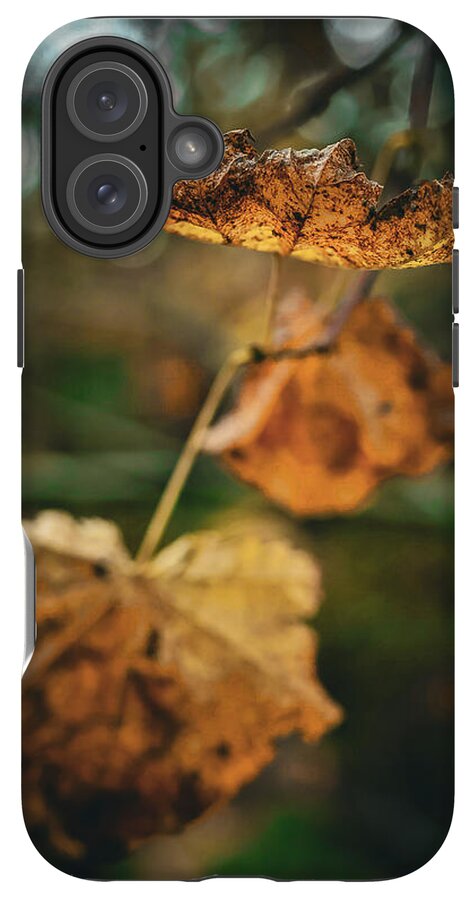 Yellow leaves  - Phone Case