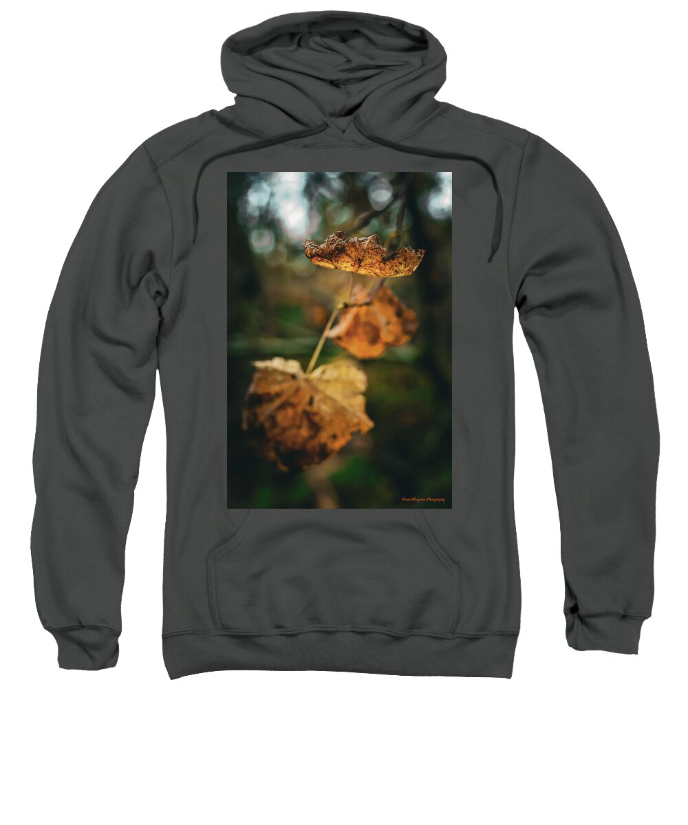 Yellow leaves  - Sweatshirt